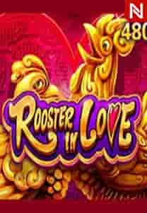 Rooster In Love