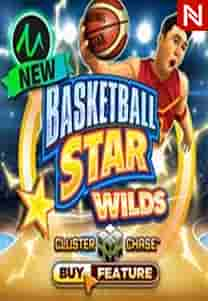 Basketball Star Wilds