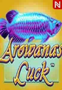 Arowana's Luck